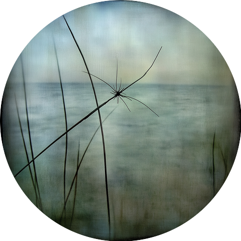 Tidal Notes