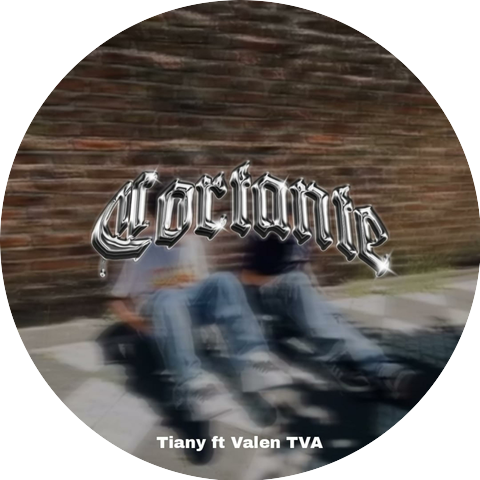 TianyTVA