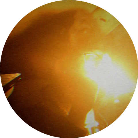 MaliceReigns & bornbefour