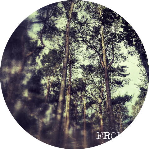 Frømme