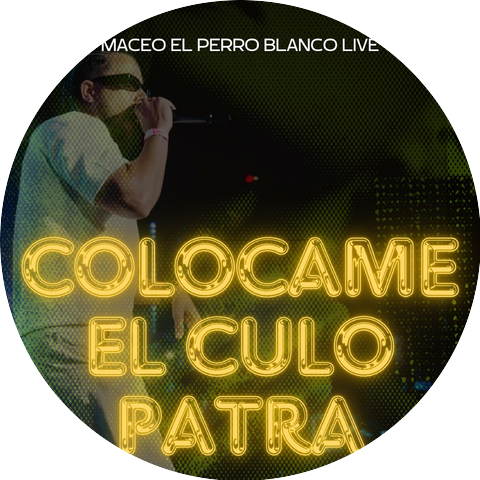 maceo el perro blanco live