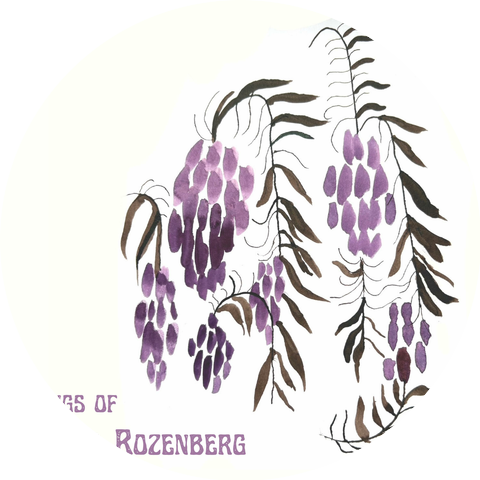 Daniel Rozenberg