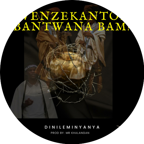Dinileminyanya