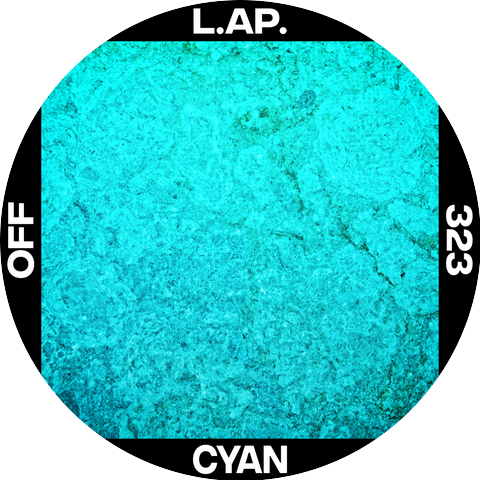 L.ap.