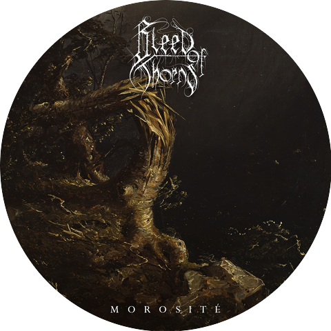Bleed of Thorns
