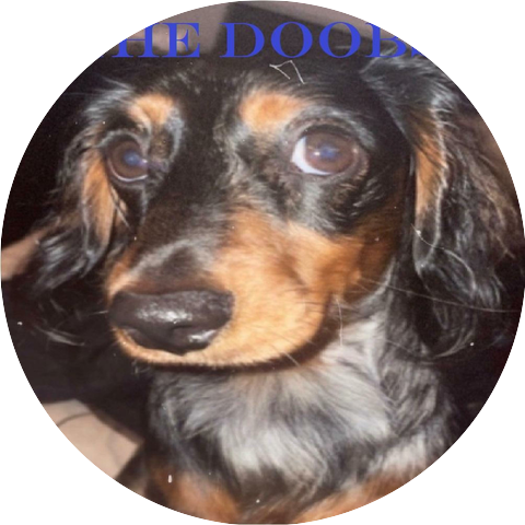 The Doobs