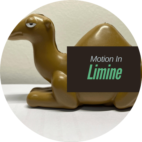 Motion in Limine