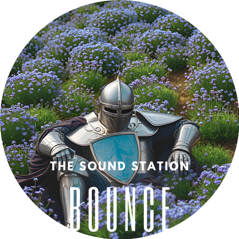 THE SOUND STATION