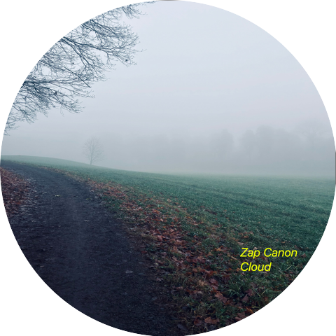 Zap Canon