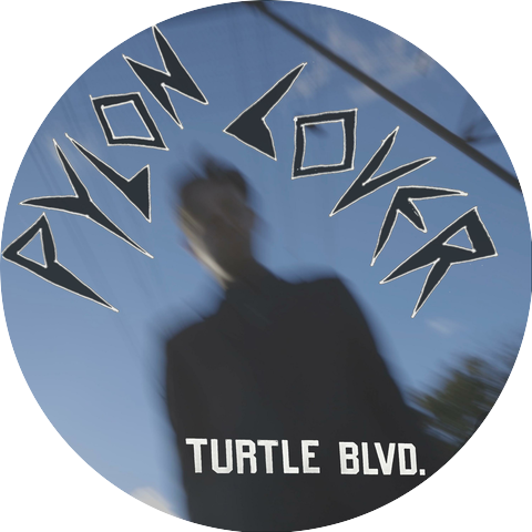 Turtle Boulevard