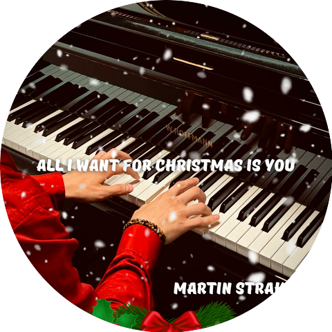 Martin S The Pianist
