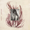 Dead Leaf Echo