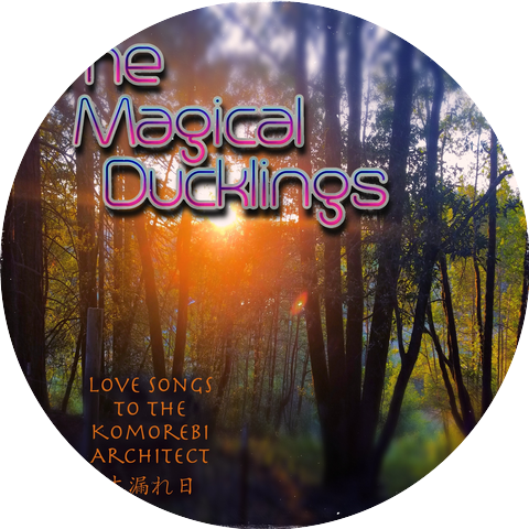 The Magical Ducklings