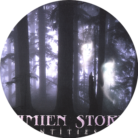 Damien Storm
