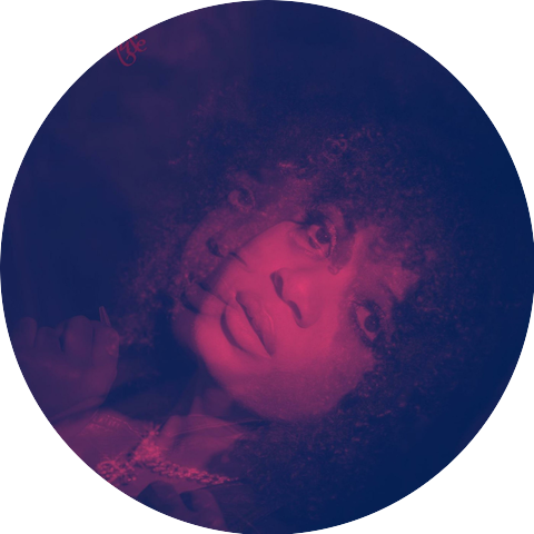 Modern Muse