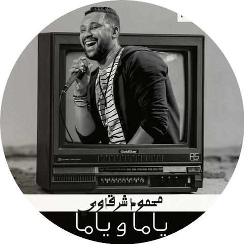 محمود شرقاوي