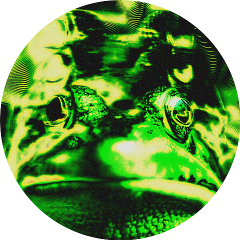 Frog$head