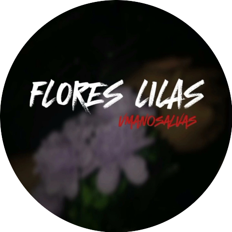 Vmanosalvas