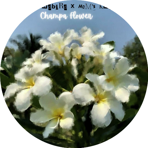 Mom's Knife, hackyandbird