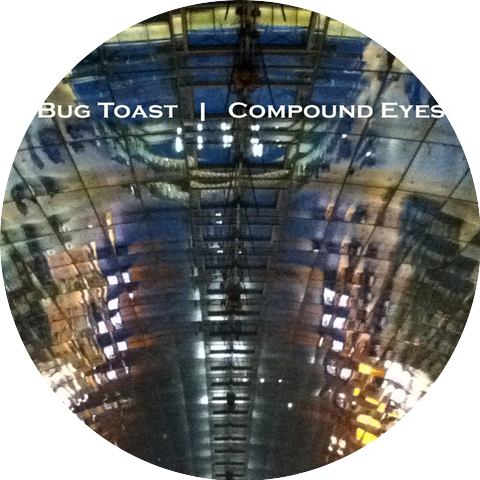 Bug Toast