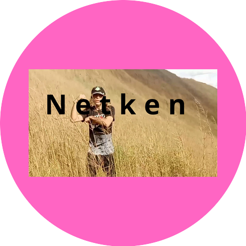 Netken