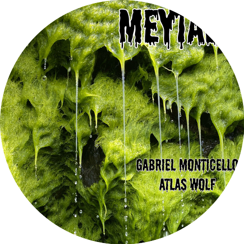 Gabriel Monticello and Atlas Wolf
