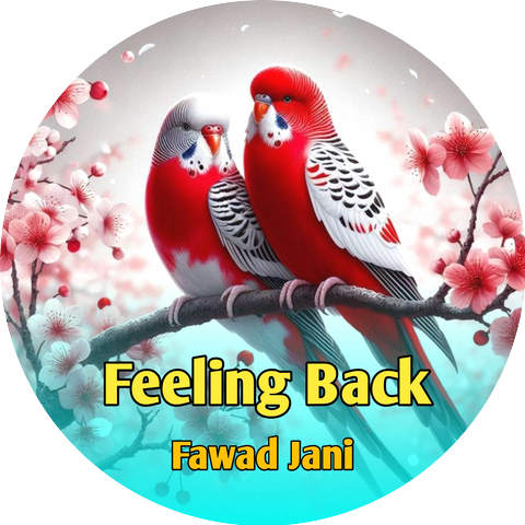 Fawad Jani