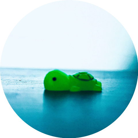 Turtle Head