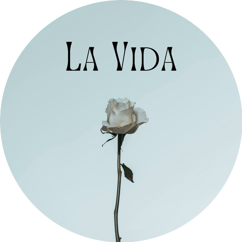 Mitchel Fran Caeiro Mouzo