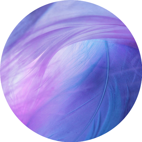 Stephanie Ricciardelli