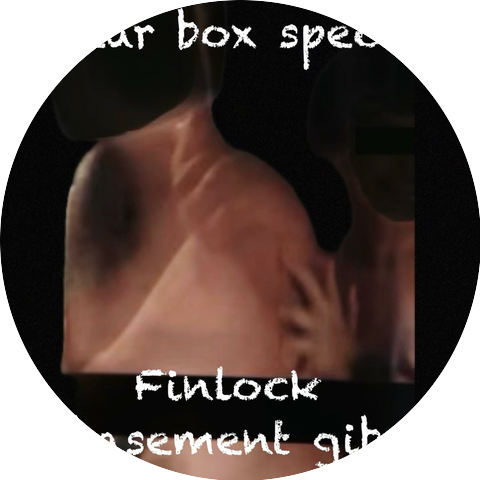 Finlock Basement Gib