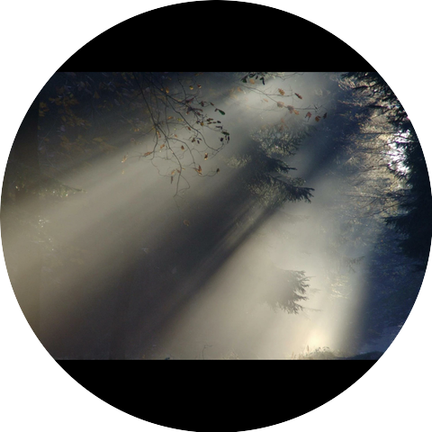 Apex Anomaly