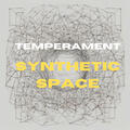 Synthetic Space