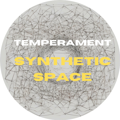 Synthetic Space