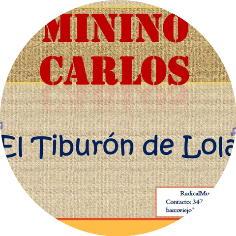 Minino Carlos
