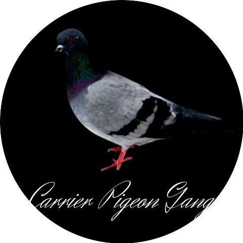 CarrierPigeonGang