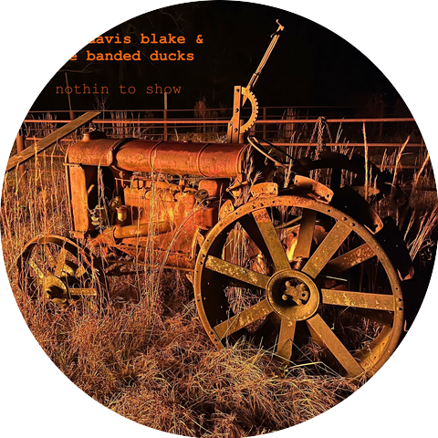 John Davis Blake and The Banded Ducks