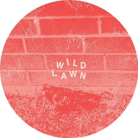 Wild Lawn