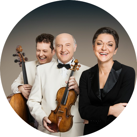 Vienna Brahms Trio