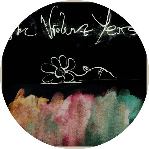 The Violent Years