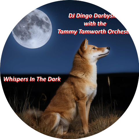 DJ Dingo Darbyshire & The Tammy Tamworth Orchestra