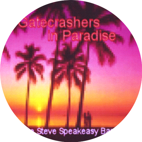The Steve Speakeasy Band