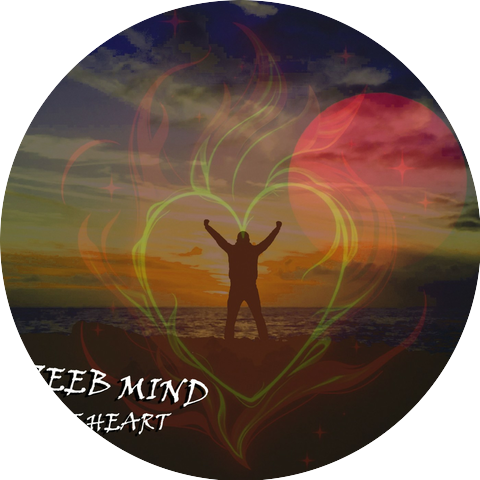 Zeeb Mind