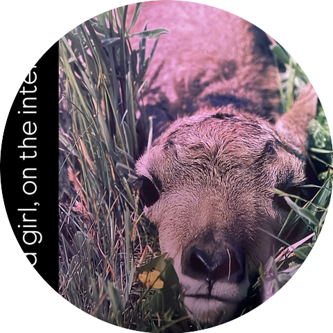 just a girl, on the internet