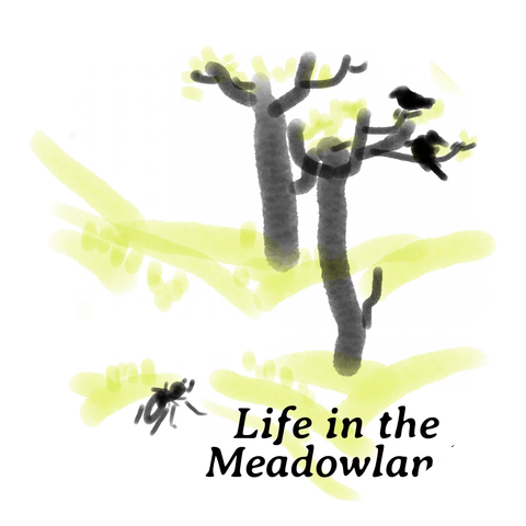 Tommy Boynton and Moss Cook