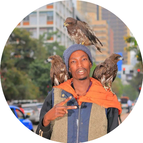 Nairobi Birdman