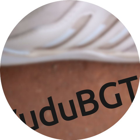 VuduBGT