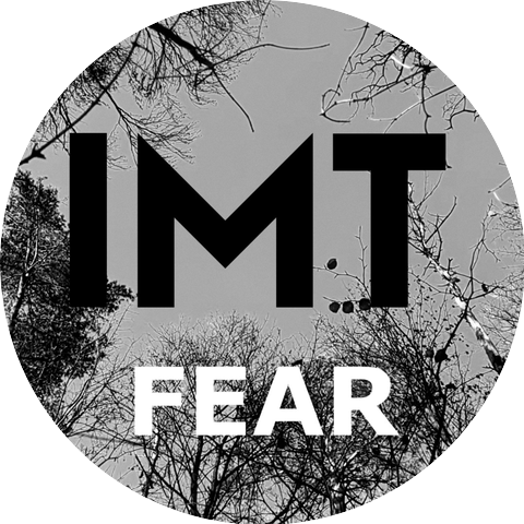 IMT