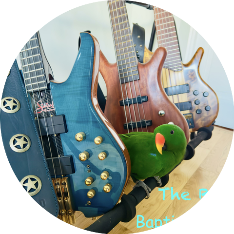The Bap