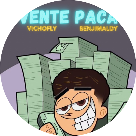 vichofly